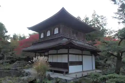 慈照寺（慈照禅寺・銀閣寺）の本殿・本堂