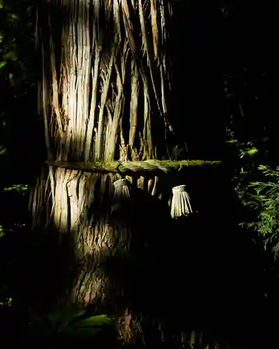 戸隠神社奥社(長野県)