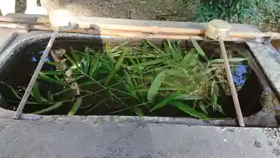 千代ケ岡八幡宮の手水舎