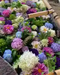 千歳神社の手水