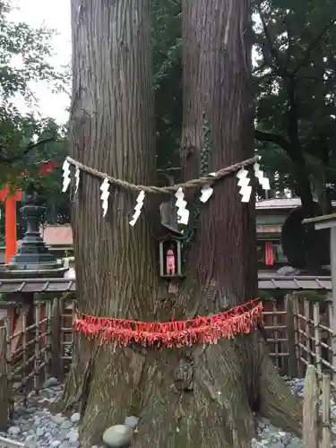 櫛引八幡宮の自然