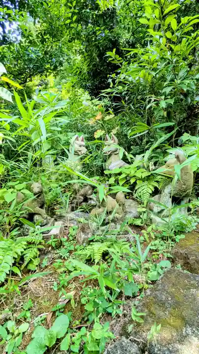 白金氷川神社の狛犬