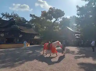 住吉大社(大阪府)