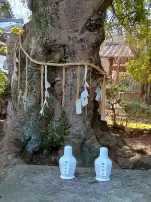 養源院(京都府)