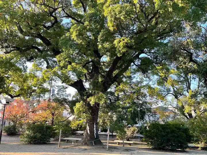 兵主神社の自然