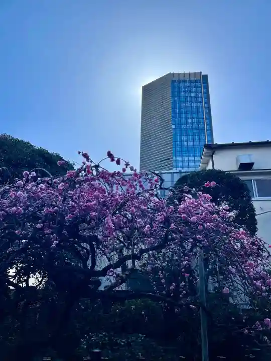 諏訪神社の{uncategorized: "未分類", other: "その他", undefined: "問題あり", building: "その他建物", grave: "お墓", sacred_gate: "鳥居", guardian: "狛犬", statue: "像", buddha: "仏像", history: "歴史", nature: "自然", garden: "庭園", animal: "動物", pagoda: "塔", temizu: "手水舎", mountain_gate: "山門・神門", sanctuary: "本殿・本堂", subordinate: "末社・摂社", art: "芸術", scenery: "景色", jizo: "地蔵", ema: "絵馬", goshuin: "御朱印", omikuji: "おみくじ", items: "授与品その他", amulet: "お守り", goshuincho: "御朱印帳", eats: "食事", festival: "お祭り", votive_dance: "神楽", shichigosan: "七五三参", wedding: "結婚式", experience: "体験その他", initially: "初詣", around: "周辺", anti_infection: "感染症対策"}