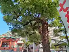 鶴見神社の建物その他