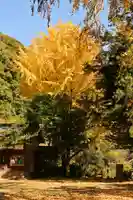 禅蔵寺(愛媛県)