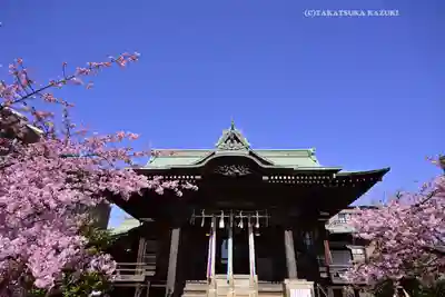 桜神宮(東京都)