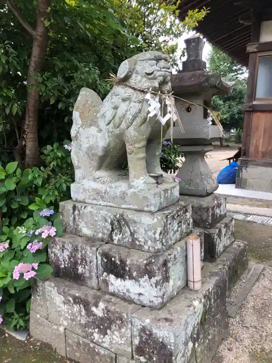 鴨島八幡神社の狛犬
