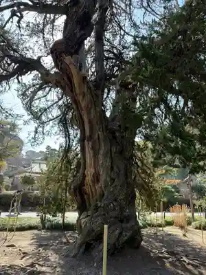 建長寺(神奈川県)