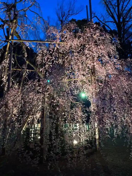 大國魂神社の自然