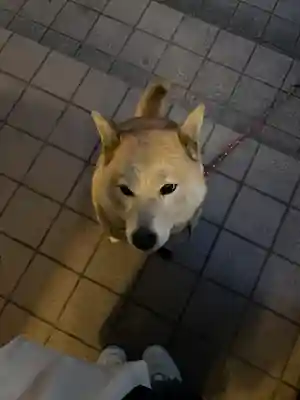 笠䅣稲荷神社(神奈川県)
