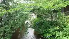 八坂神社(祇園さん)の周辺