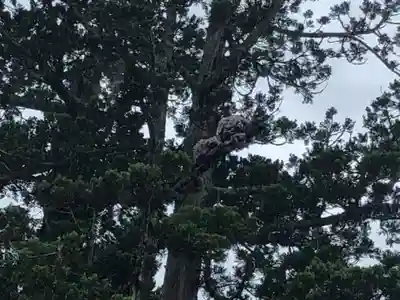 瑞巌寺(宮城県)