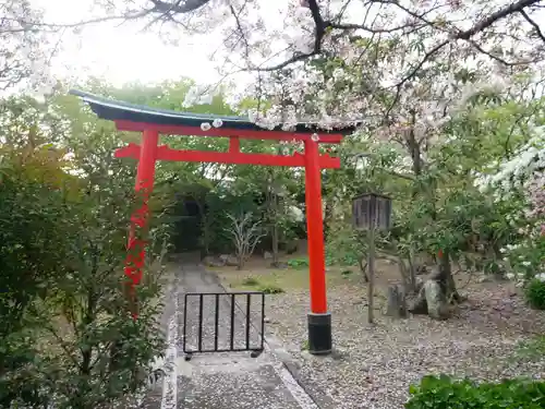 上品蓮台寺の鳥居