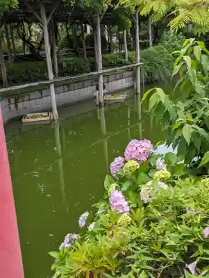 亀戸天神社(東京都)