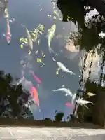 井戸寺(徳島県)