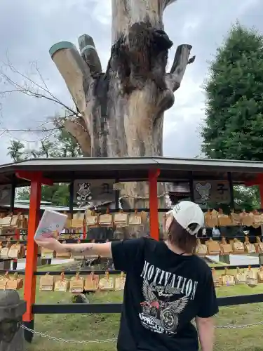 上野総社神社(群馬県)