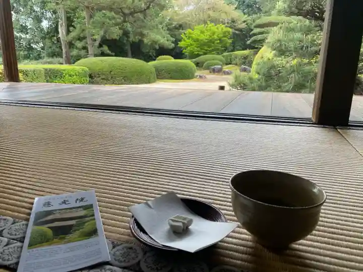 慈光院の{uncategorized: "未分類", other: "その他", undefined: "問題あり", building: "その他建物", grave: "お墓", sacred_gate: "鳥居", guardian: "狛犬", statue: "像", buddha: "仏像", history: "歴史", nature: "自然", garden: "庭園", animal: "動物", pagoda: "塔", temizu: "手水舎", mountain_gate: "山門・神門", sanctuary: "本殿・本堂", subordinate: "末社・摂社", art: "芸術", scenery: "景色", jizo: "地蔵", ema: "絵馬", goshuin: "御朱印", omikuji: "おみくじ", items: "授与品その他", amulet: "お守り", goshuincho: "御朱印帳", eats: "食事", festival: "お祭り", votive_dance: "神楽", shichigosan: "七五三参", wedding: "結婚式", experience: "体験その他", initially: "初詣", around: "周辺", anti_infection: "感染症対策"}