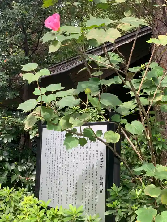 阿佐ヶ谷神明宮の自然