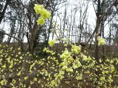 常昌院(神奈川県)