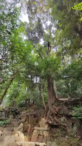 宇治上神社(京都府)