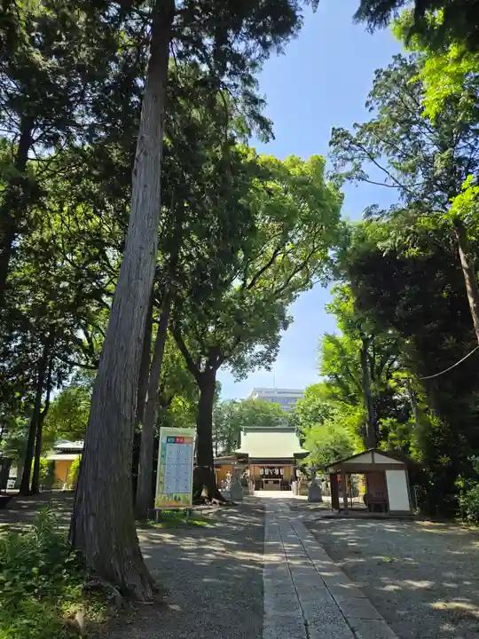 星川杉山神社(神奈川県)