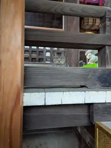 櫻山神社(岩手県)