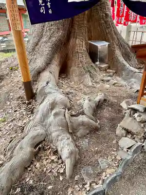 楠珺社（住吉大社末社）(大阪府)