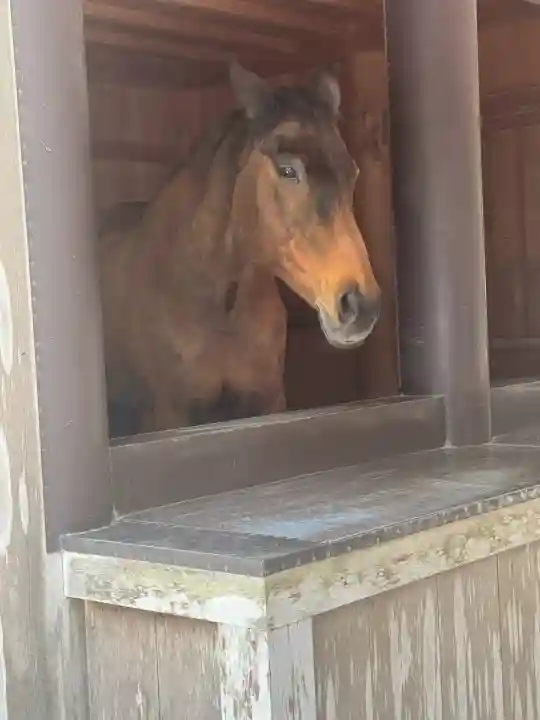伊勢神宮内宮(皇大神宮)(三重県)