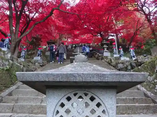 大山寺の自然