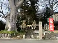 清池八幡神社(山形県)