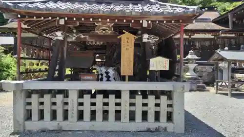 松尾大社(京都府)