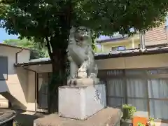 富田八坂神社の狛犬