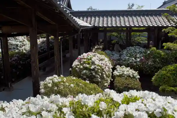 法雲寺のその他建物