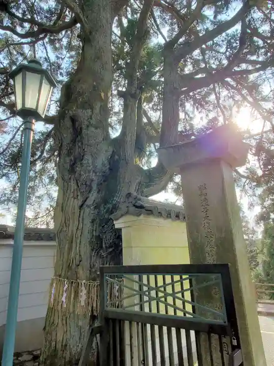 忉利天上寺の自然