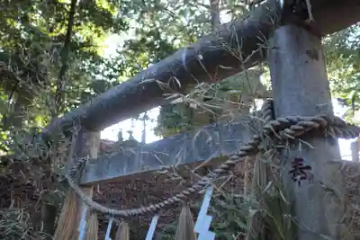 諏訪八幡神社(埼玉県)