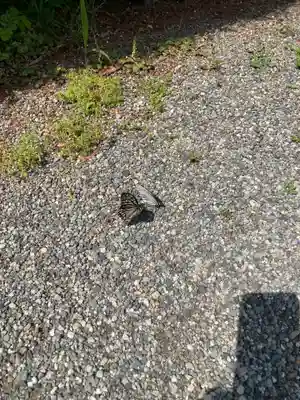 成願寺(神奈川県)