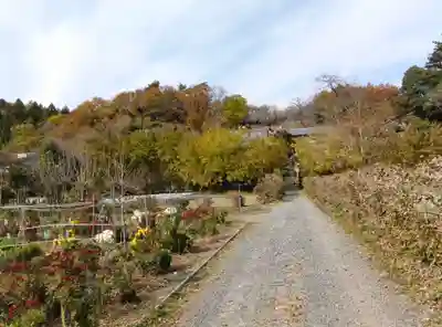 洞昌院(埼玉県)