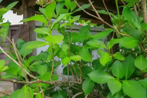 資福寺のその他建物