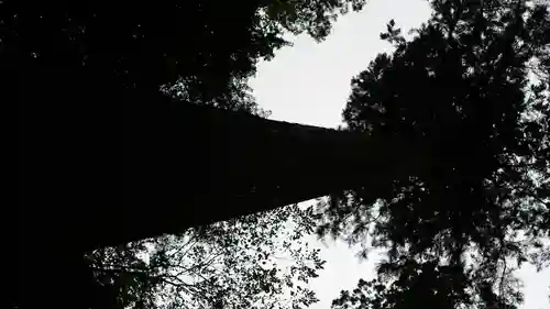 室生寺(奈良県)