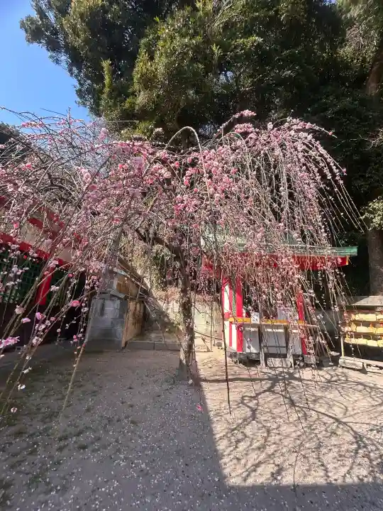 赤間神宮の{uncategorized: "未分類", other: "その他", undefined: "問題あり", building: "その他建物", grave: "お墓", sacred_gate: "鳥居", guardian: "狛犬", statue: "像", buddha: "仏像", history: "歴史", nature: "自然", garden: "庭園", animal: "動物", pagoda: "塔", temizu: "手水舎", mountain_gate: "山門・神門", sanctuary: "本殿・本堂", subordinate: "末社・摂社", art: "芸術", scenery: "景色", jizo: "地蔵", ema: "絵馬", goshuin: "御朱印", omikuji: "おみくじ", items: "授与品その他", amulet: "お守り", goshuincho: "御朱印帳", eats: "食事", festival: "お祭り", votive_dance: "神楽", shichigosan: "七五三参", wedding: "結婚式", experience: "体験その他", initially: "初詣", around: "周辺", anti_infection: "感染症対策"}