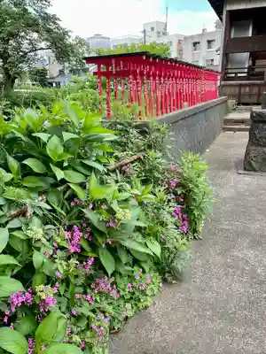 殿町稲荷神社(新潟県)
