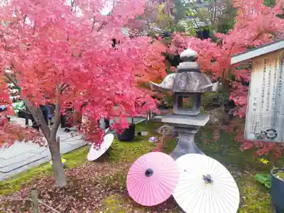 勝林寺(京都府)