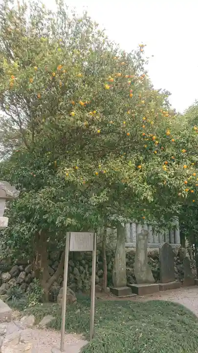 出雲伊波比神社の自然