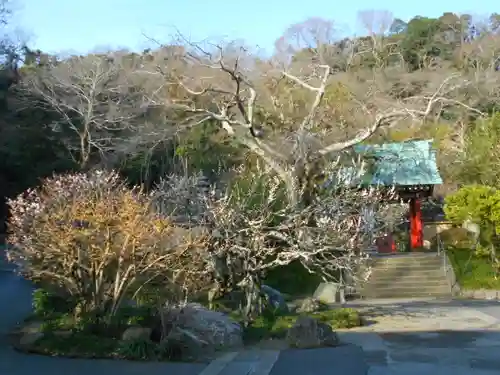 光則寺の景色