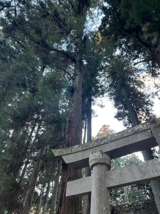 大宮温泉神社(栃木県)