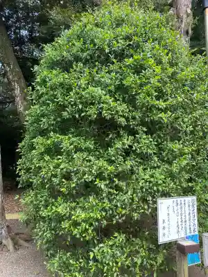 息栖神社(茨城県)