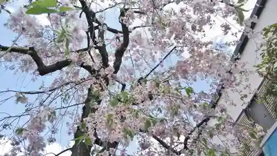 安樂寺天満宮の自然